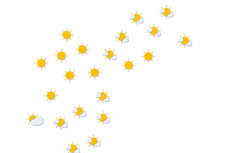 Forecast