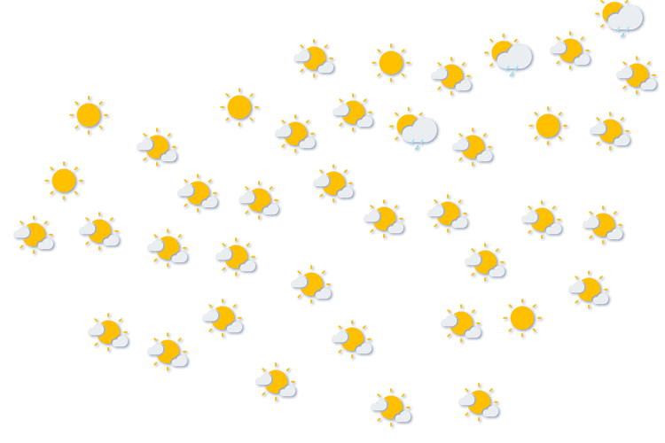 Forecast