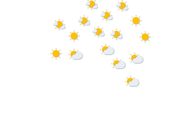 Forecast