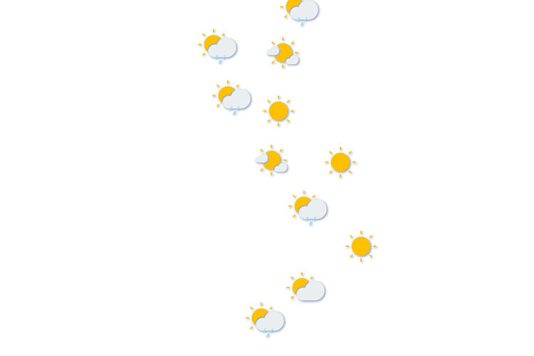 Forecast