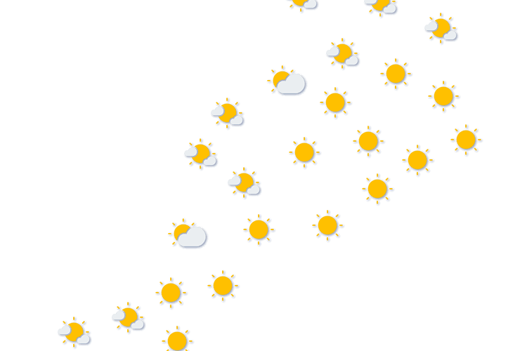 Forecast