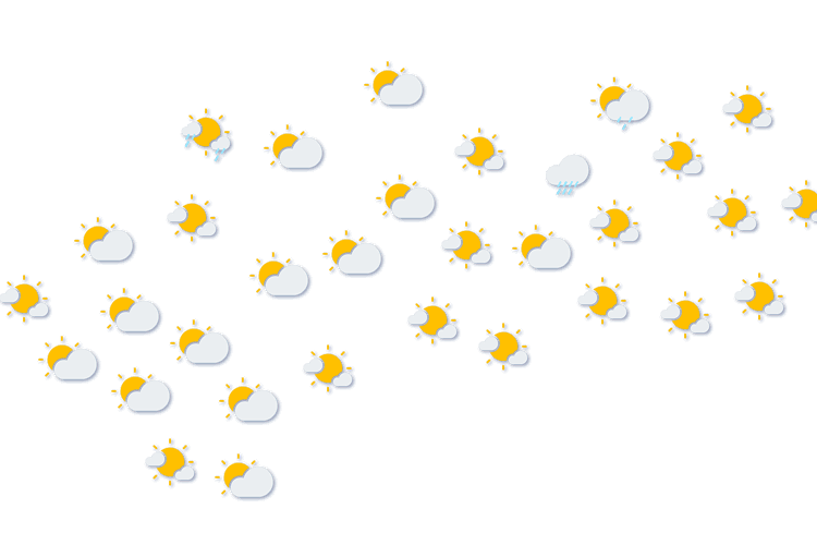 Forecast