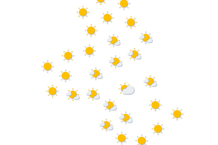 Forecast