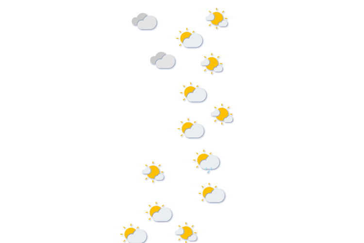 Forecast