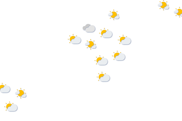 Forecast