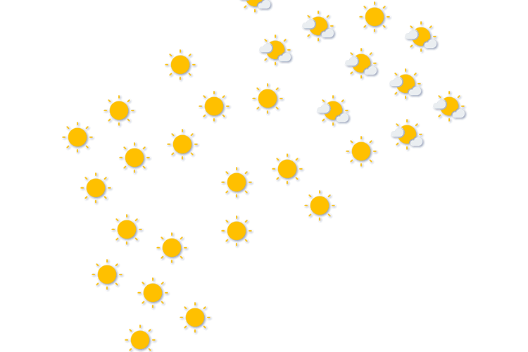 Forecast