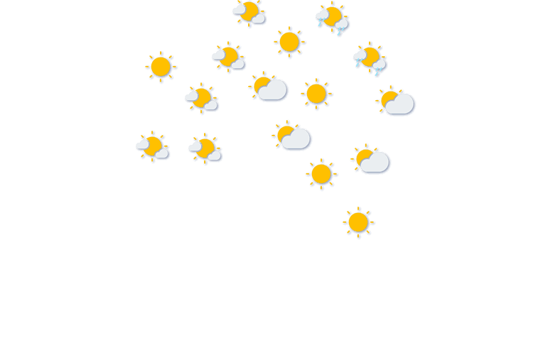 Forecast