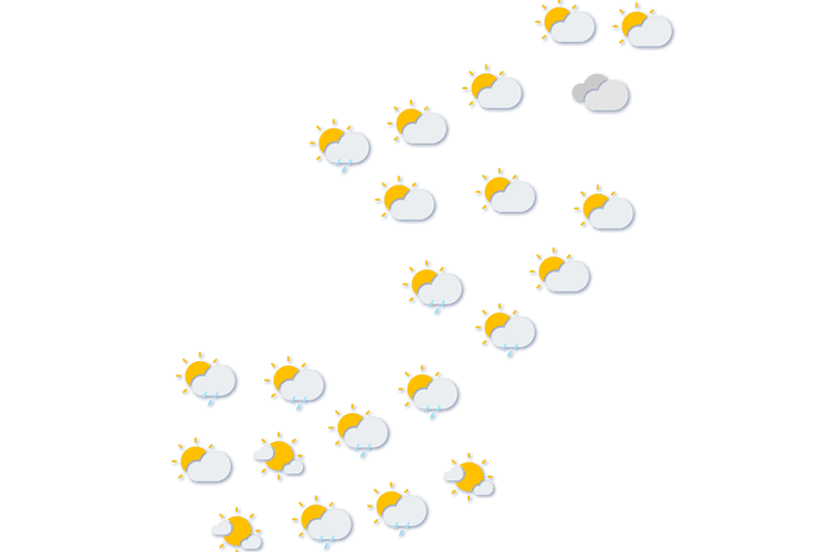 Forecast