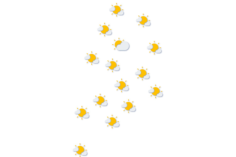 Forecast