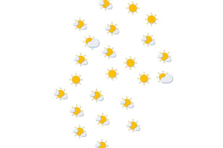 Forecast