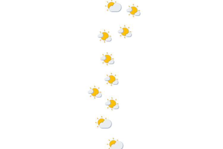 Forecast