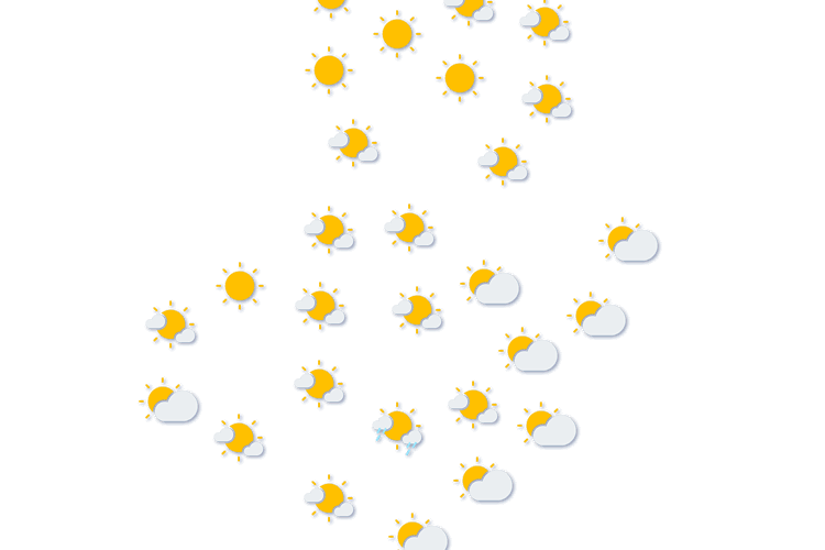 Forecast