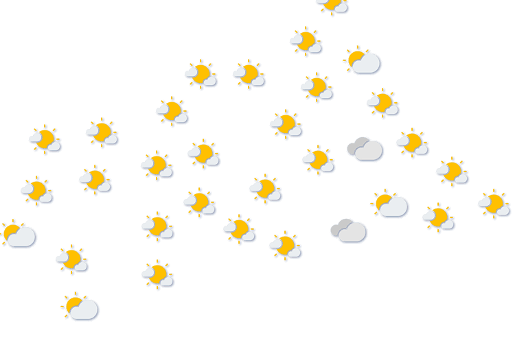 Forecast
