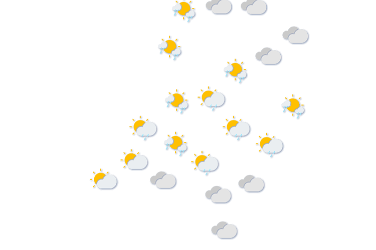 Forecast