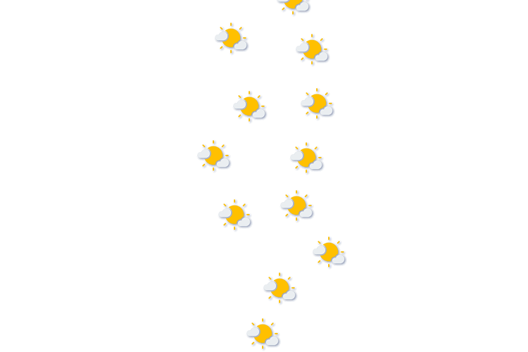 Forecast