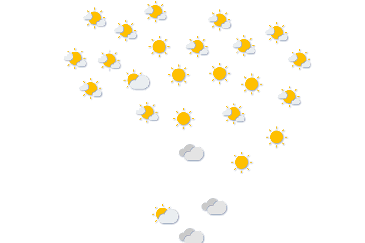 Forecast