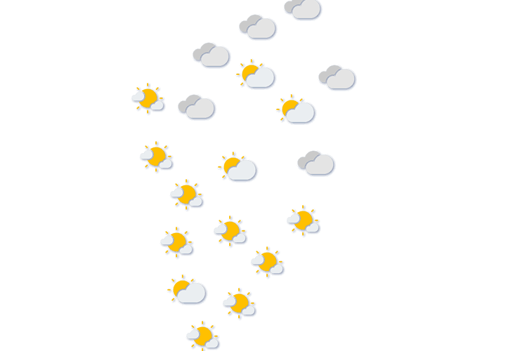 Forecast