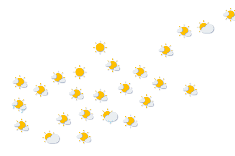 Forecast