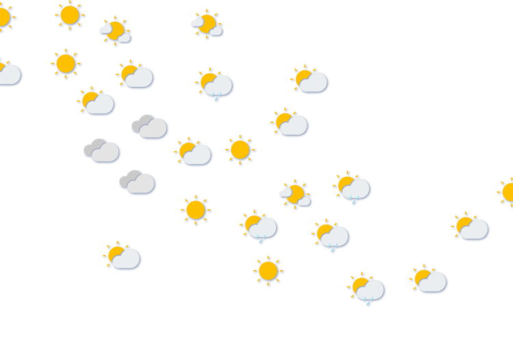 Forecast