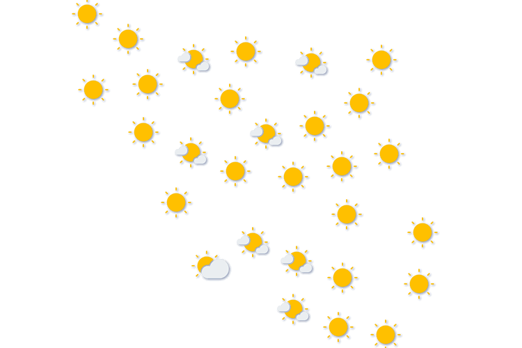 Forecast