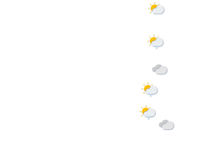 Forecast