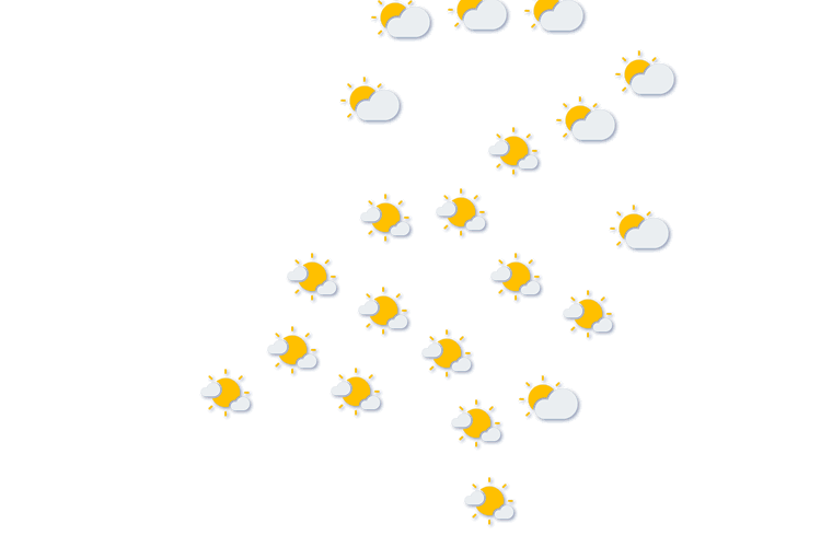 Forecast