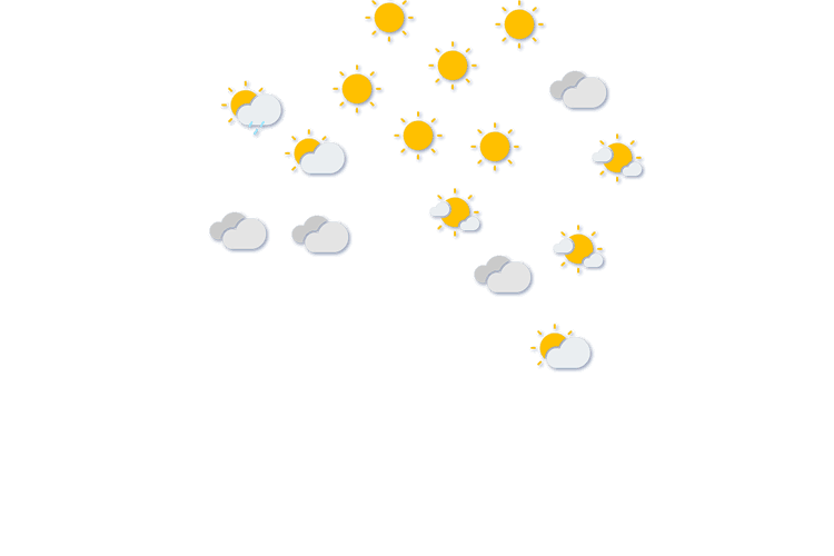 Forecast