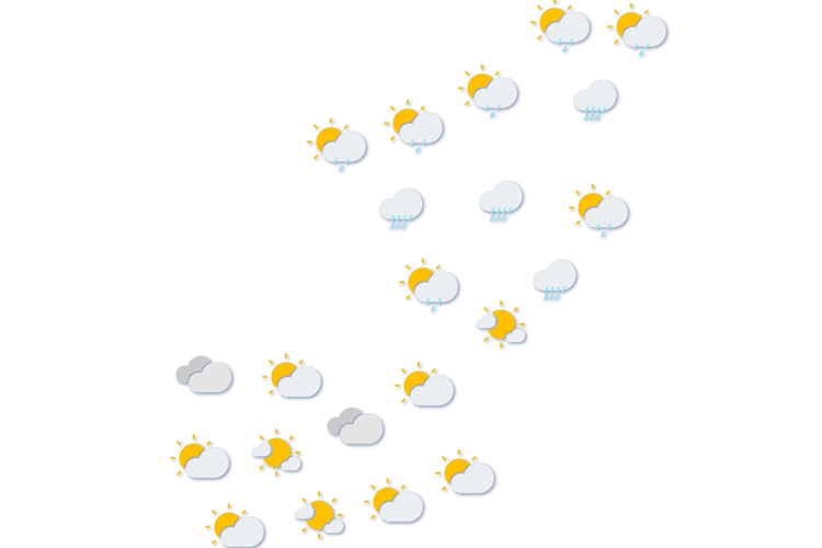 Forecast