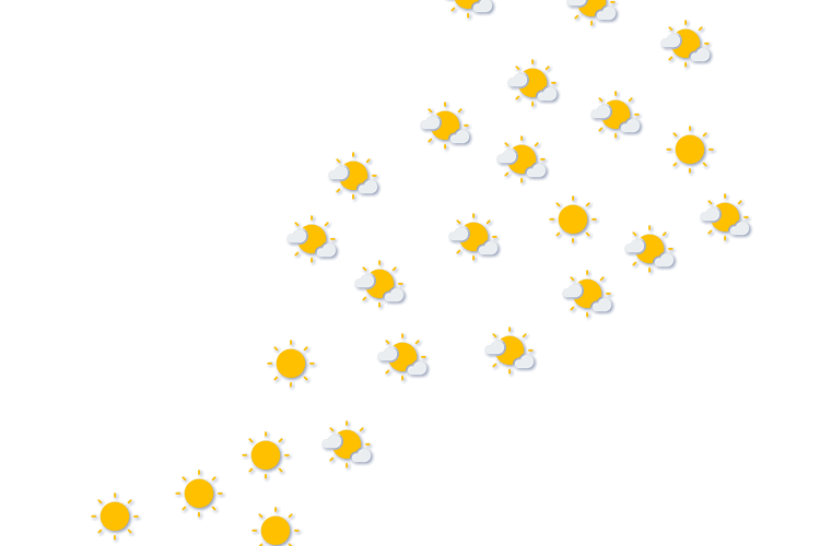 Forecast