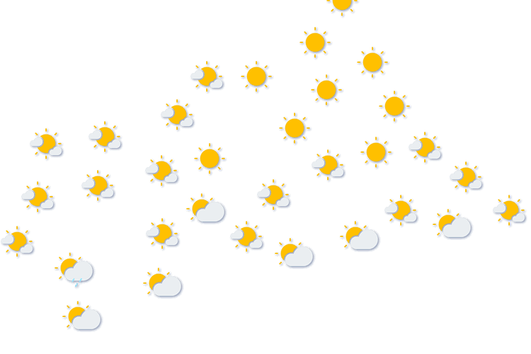 Forecast