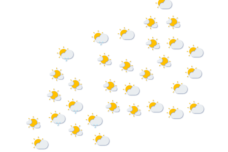 Forecast