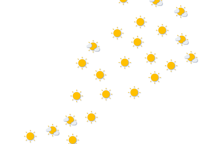 Forecast