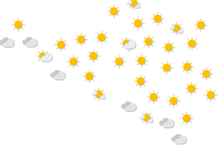 Forecast
