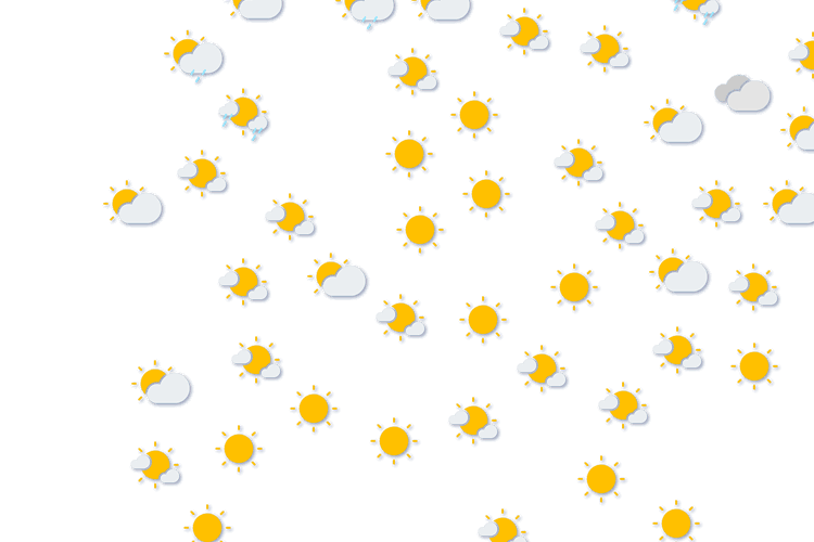 Forecast