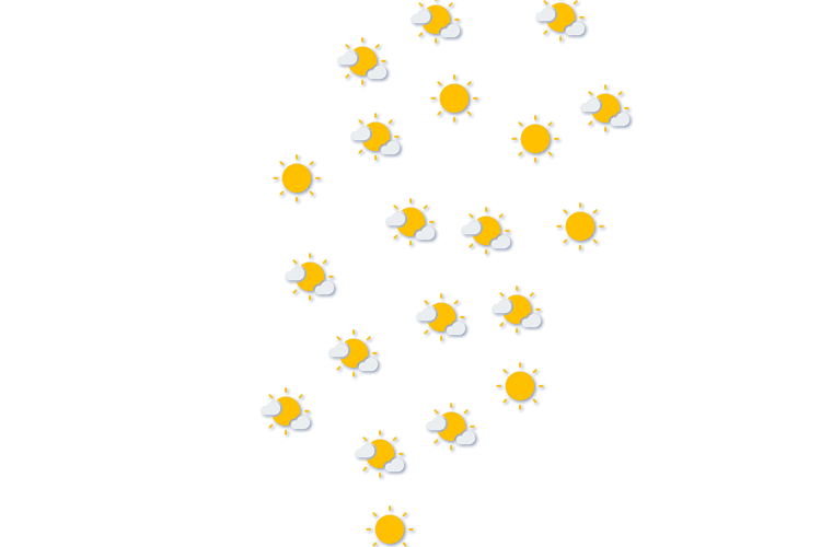 Forecast