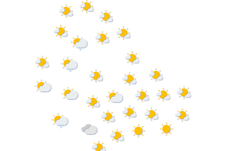 Forecast