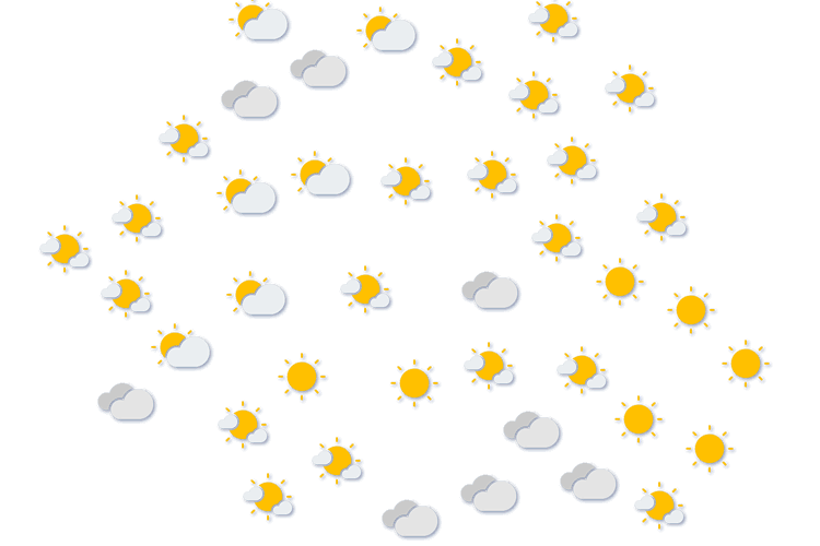 Forecast