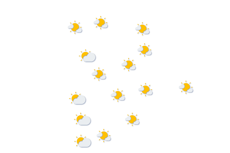 Forecast