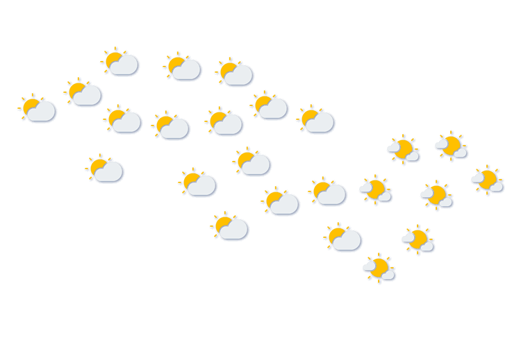 Forecast