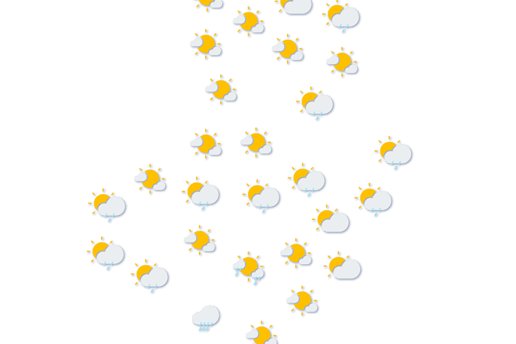 Forecast