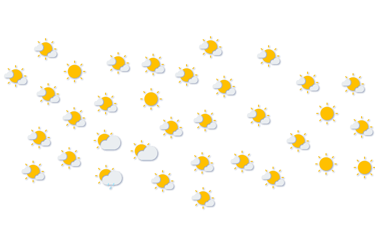Forecast