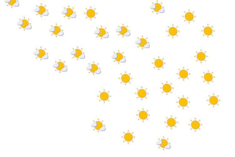 Forecast