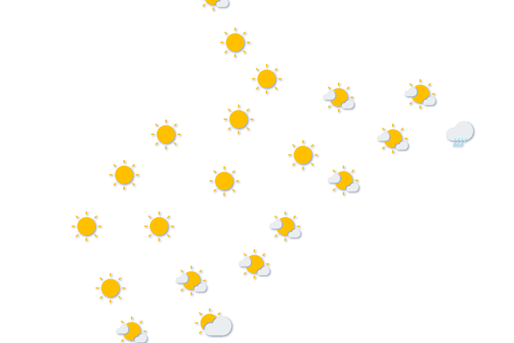 Forecast