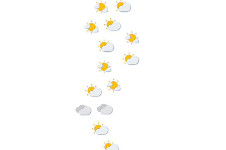 Forecast