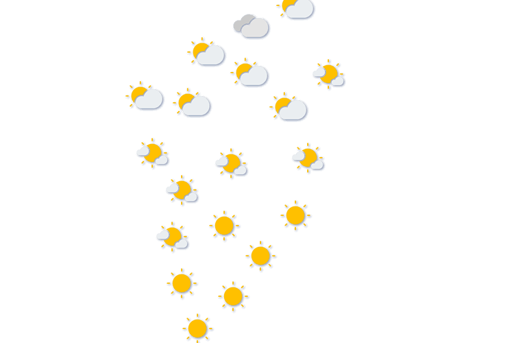 Forecast