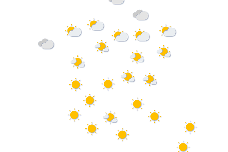 Forecast