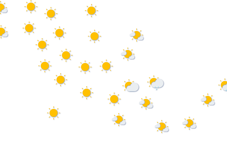 Forecast