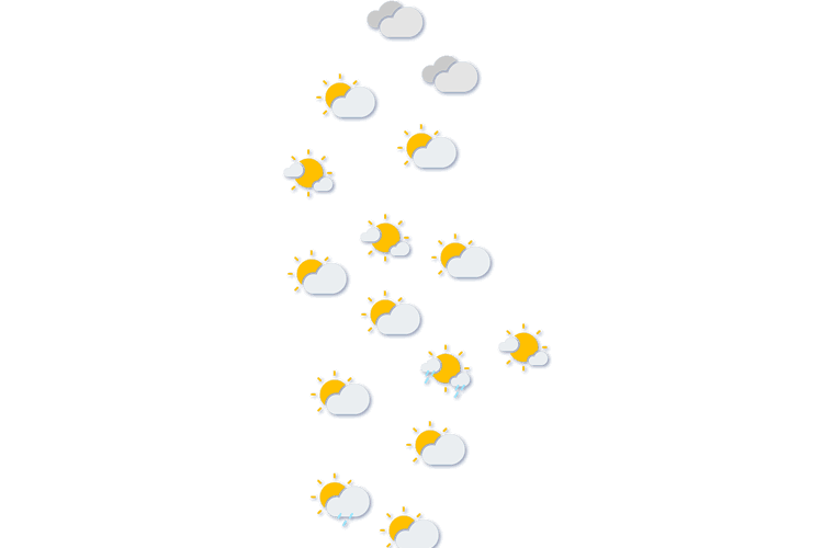 Forecast