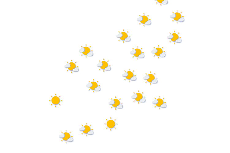 Forecast