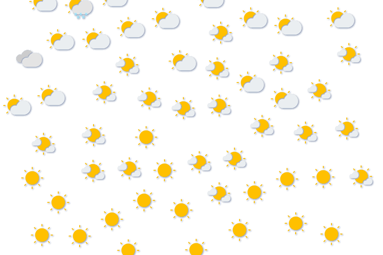 Forecast